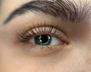 Lash lamination procedure eyelash lifting and beauty eye close-up