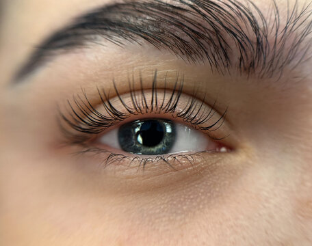 Lash lamination procedure eyelash lifting and beauty eye close-up
