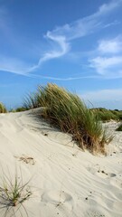 Sunny landscape with white sand dunes and grassy vegetation under a blue sky