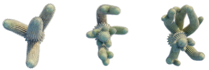 Carnegiea gigantea trees plan, top view, cutout, transparent background, isolate, Stunning desert cacti, vibrant desert flora, detailed succulent plants © DH Tree Stock