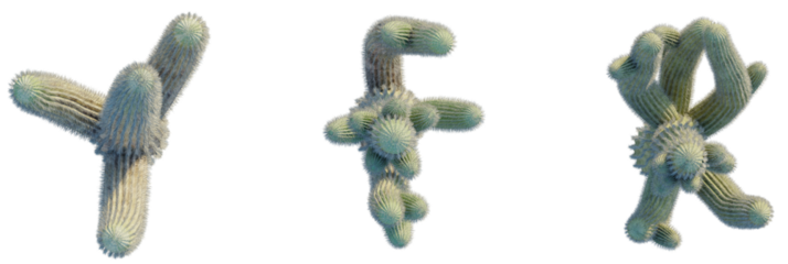 Carnegiea gigantea trees plan, top view, cutout, transparent background, isolate, Stunning desert cacti, vibrant desert flora, detailed succulent plants