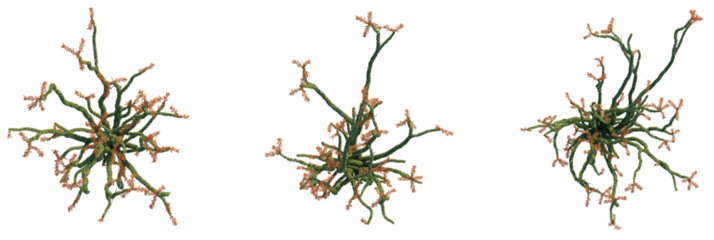 Fouquieria splendens trees plan, top view, cutout, transparent background, isolate, Intricate fractal tree branches with vibrant orange blossoms