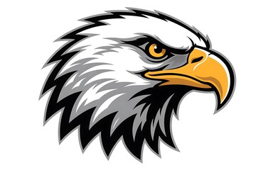 Fototapeta premium Eagle head isolated on white