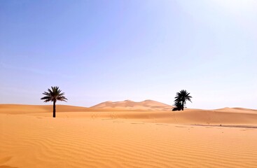 sahara desert morocco,