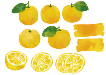 水彩風 柚子のイラストセット2（葉っぱ付きあり）Winter Fruits Series:Watercolor style Yuzu illustration set (with leaves)