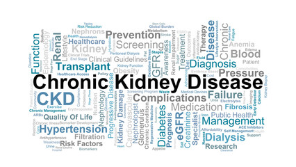 Chronic Kidney Disease Word Cloud. Key Concepts On Renal Function, Dialysis, Treatment, Risk Factors, Prevention, And Long-Term Health Management.