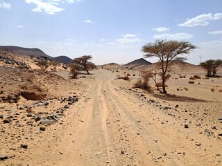 road in the desert