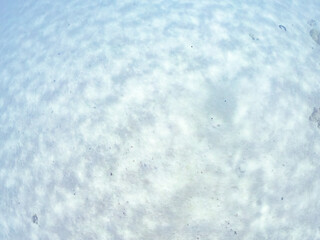 Fototapeta premium 安室島の美しい砂地, Sandy Bottom, 美しいサンゴ礁と熱帯魚の群れ。 沖縄県島尻郡慶良間諸島座間味島安室島-2025 この日はサンゴの産卵があり、よく見ると卵が漂っている。沖縄本島から40km西方にある諸島。大小30以上の島々からなる島嶼群は全体が国立公園に指定されている。珊瑚礁の海、白い砂浜、緑の山地は世界屈指の美しさ。多くの貴重な動植物が生息している。 