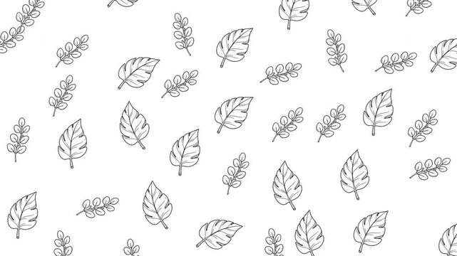 Artistic Leafy Pattern - A Detailed Black and White Illustration.