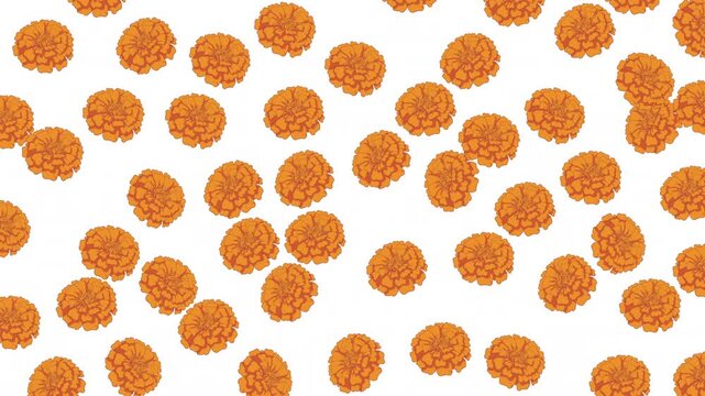 Close-up of many small orange objects scattered across a white background.
