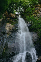 Fototapeta premium Waterfall cascading down rocky cliffs surrounded by lush green trees, creating a serene natural landscape with flowing white water and vibrant foliage.