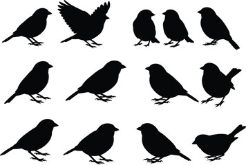 Bird silhouette collection, flying bird shapes, perched bird poses, black avian icons, wildlife vector set, nature illustration, minimalist animal design, editable clipart
