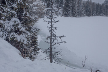 Strbske Pleso winter lake tourist attraction in High Tatras, Slovakia
