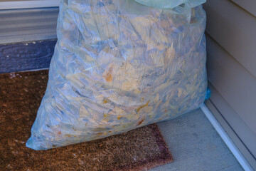 Freshly racked brown fall leaves in compostable Garbage bag