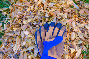 Pile of freshly racked brown fall leaves