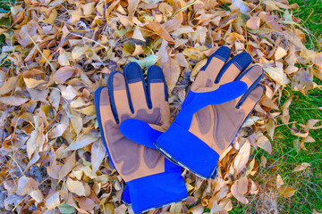 Pile of freshly racked brown fall leaves