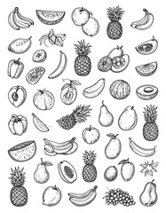 Hand-drawn fruit illustrations (1)