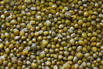 Capers in brine, small pickled flower buds