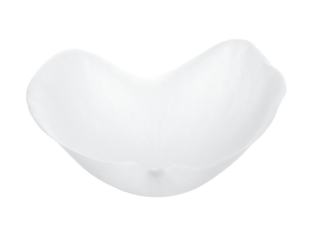 White Elbow Pipe Fitting Isolated on White Background.