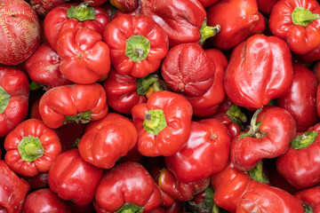 cosecha de pimientos rojos a la venta en un mercado peruano en los andes