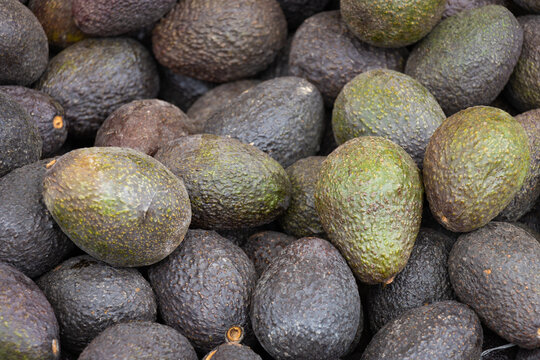 cosecha de paltas o aguacates apiladas a la venta en un mercado rural peruano