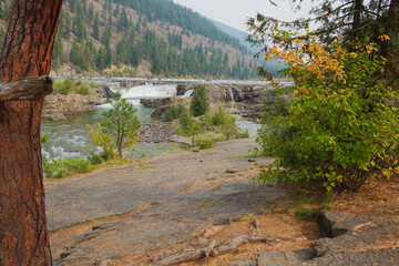 Tranquil Mountain River Scene With Waterfall, Trees, and Rocky Trail in Autumn Forest Kootenai National Forest in Montana. Through a rocky riverside, framed by pine trees and autumn foliage. A small w