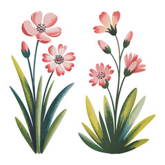 Watercolor illustration of two floral arrangements with pink flowers and green leaves isolated on white background, showcasing a delicate and artistic botanical design