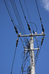 電信柱と青空
