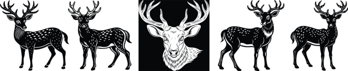 Elegant monochrome deer illustrations ready for your creative projects, offering a touch of wilderness and natural beauty for branding and design purposes