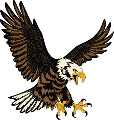 Bald Eagle Flying Ready to Pounce its Prey Vector Illustration Image Stock