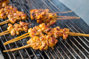 Grilled chicken skewers on hot grill