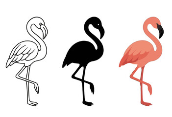 Obraz premium Vector Flamingo, 3 versions, outline, silhouette and colored