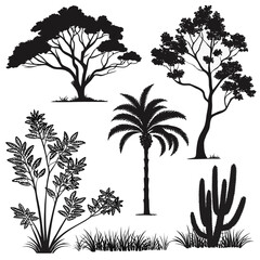 Collection of diverse silhouette plants including acacia tree palm tree leafy bush cactus and grass against a white background