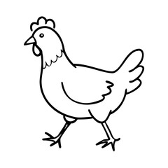 Chicken walk icon doodle hand drawn. Outline line chicken drawing clipart symbol