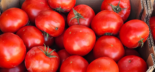 Bright red tomatoes are piled in a cardboard box at a local market in Granada, Spain, showcasing their freshness and vibrant color. produce, market