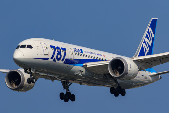 Tokyo, Tokyo, Japan - January 1, 2024: All Nippon Airways (ANA) Boeing 787-8 (registration JA811A) landing at Tokyo International Airport (HND).