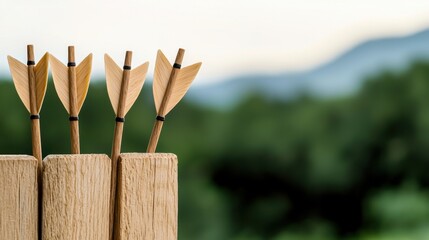 Protective Barrier Design for Archery Range to Enhance Safety and Prevent Accidental Injuries