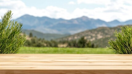 Serene Outdoor Setup for Professional Photography with Greenery and Mountain Landscape Background