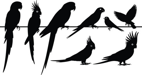 Set of parrot silhouettes in various poses, tropical bird vector illustration collection perfect for logo design and wildlife projects
