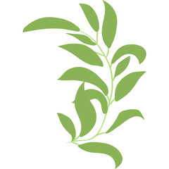 Green Plant Stem With Leaves on Transparent Background Simple Minimalist Nature Element Clean Design Organic Botanical Illustration Flat Style Vector Art