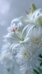 上品なフラワーアレンジメント - 追悼、癒やし、メモリアル素材（白～グレー系）