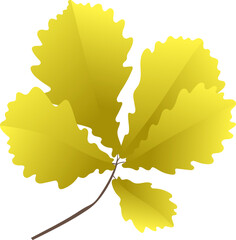 Hand-drawn gold autumn colored oak leaves isolated on white background. Flat and line style vector illustration. 