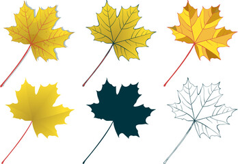  Set of hand-drawn fall gold colored maple leaves isolated on white background. Flat and line styles vector illustrations.