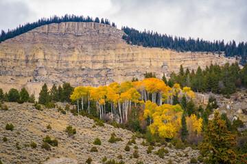 Fall scene from the Big Horn canyon road