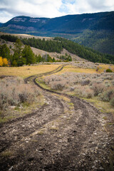 Wyoming dirt road trail