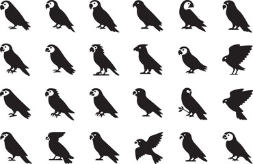 Variety of Black Parrot and Bird Silhouettes macaw