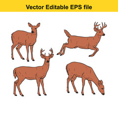 Vector art of set of four deer illustrations, each in a different pose, isolated on a