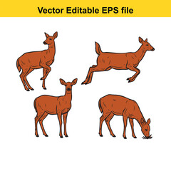 Vector art of set of four deer illustrations, each in a different pose, isolated on a