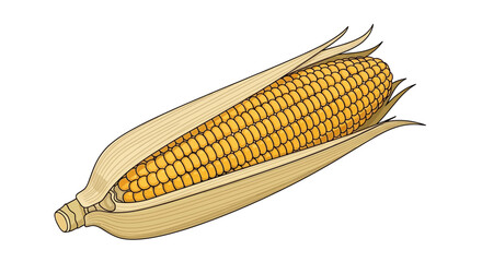 A detailed illustration of a ripe ear of corn with its husk partially peeled back, revealing the golden kernels.