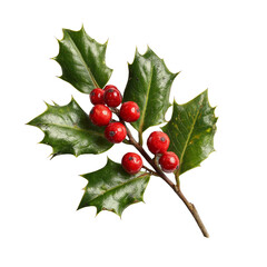 A leafy branch with red berries on it